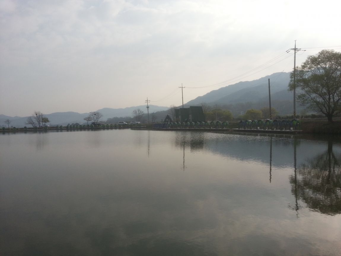 20140420_082003.jpg