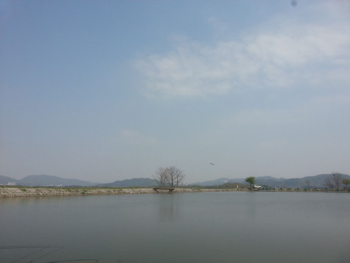 20140420_105909.jpg