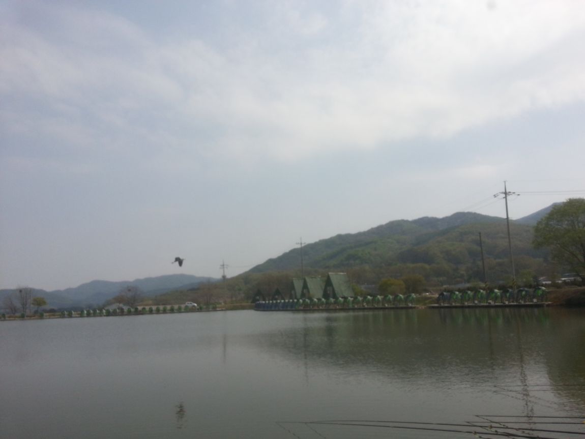 20140420_105923.jpg