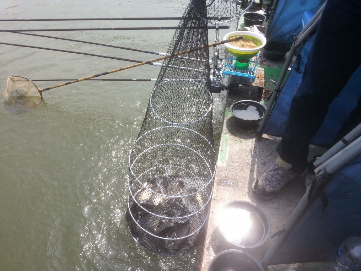 20140420_110346.jpg