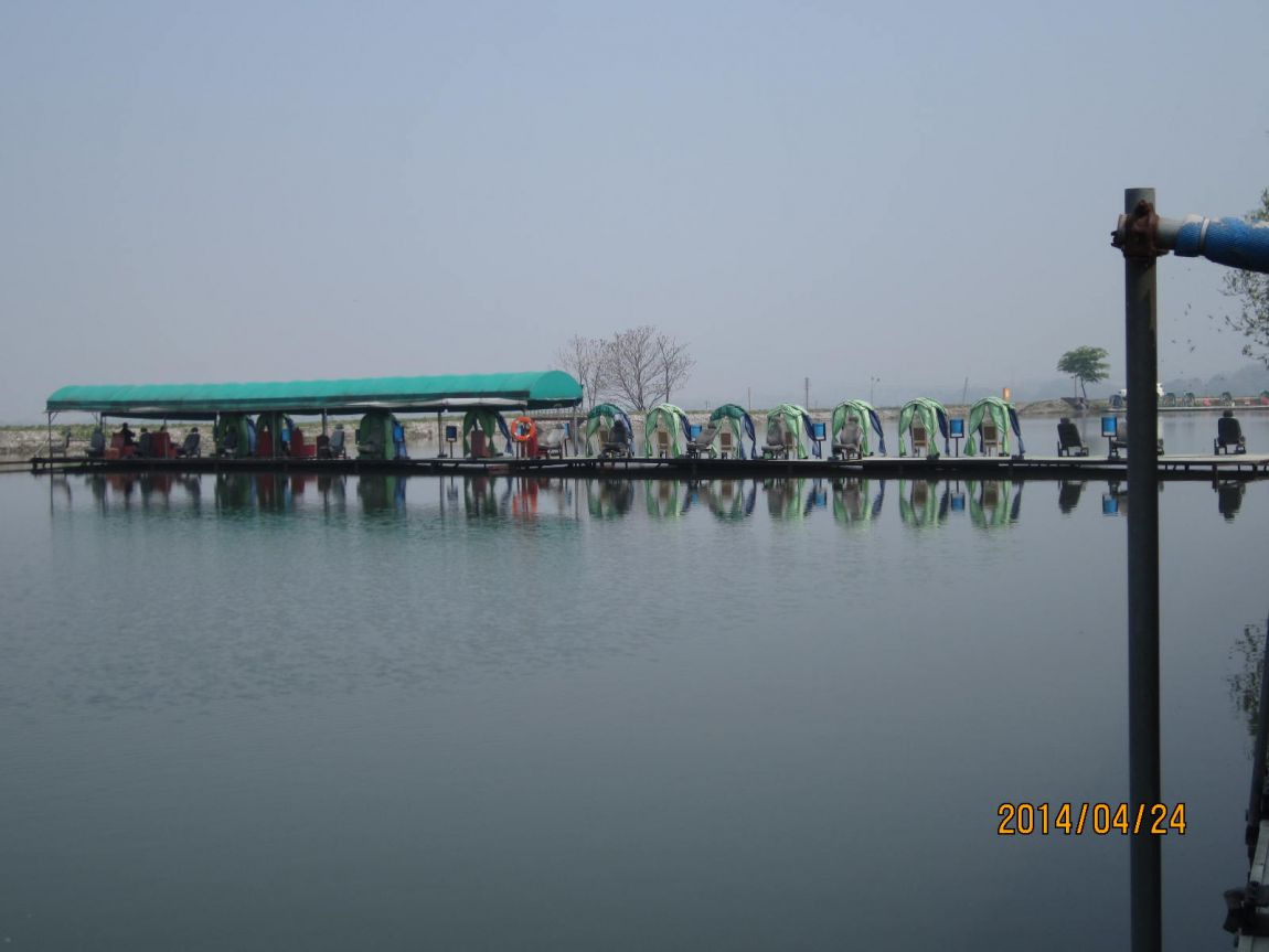 IMG_9567.JPG