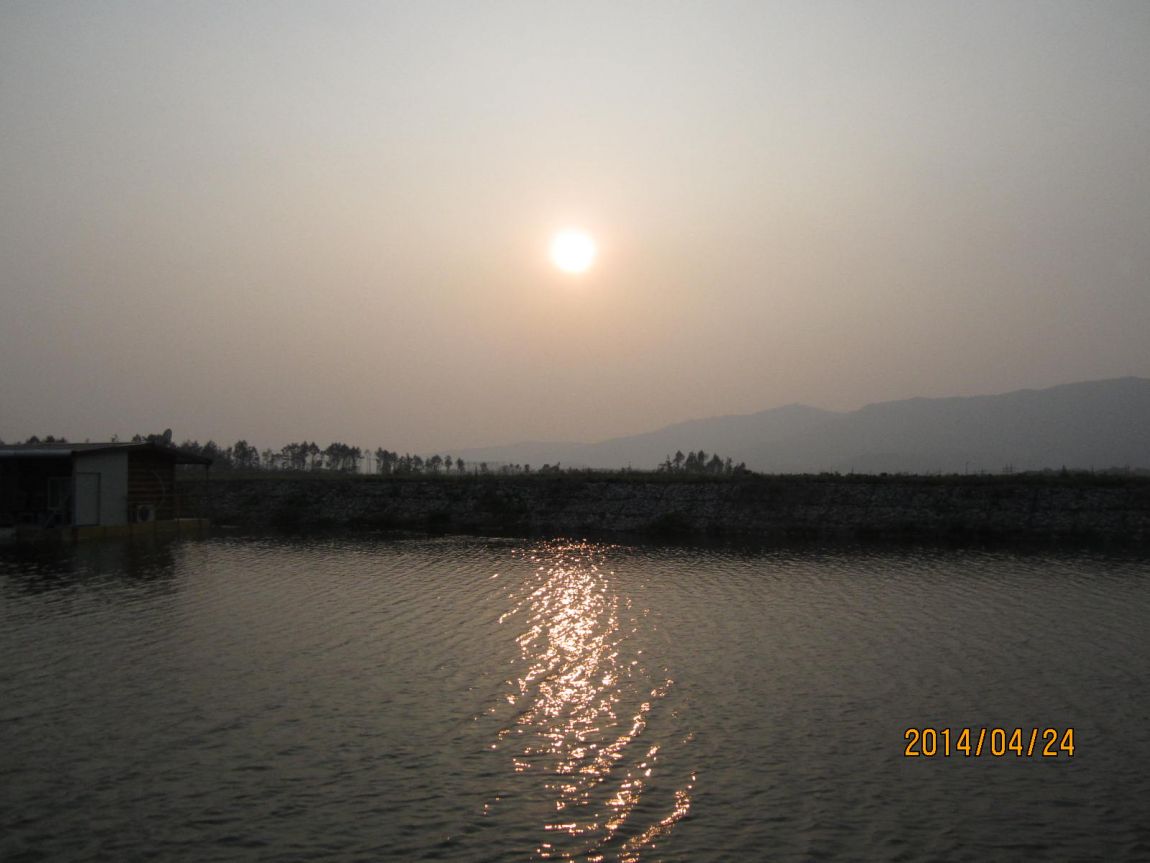 IMG_9597.JPG