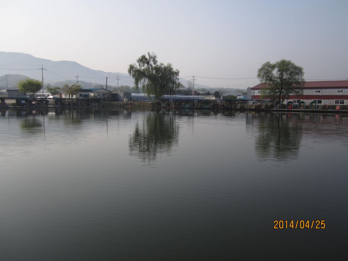 IMG_9685.JPG