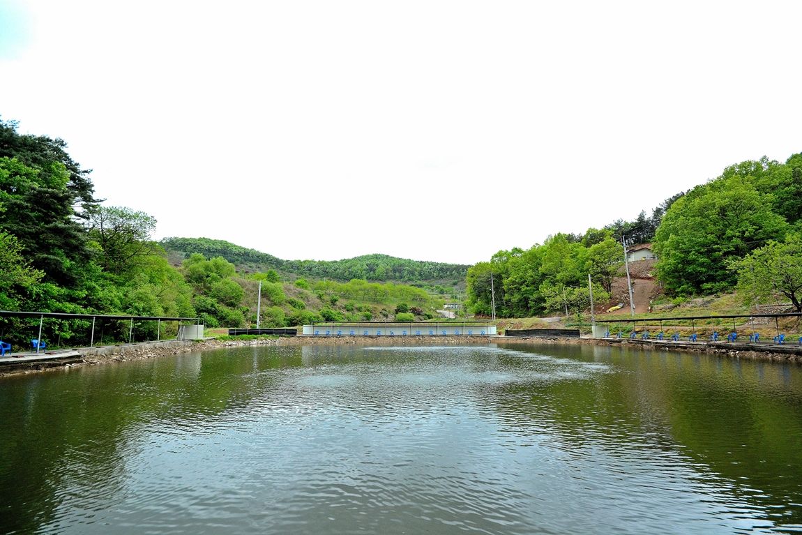 11.JPG