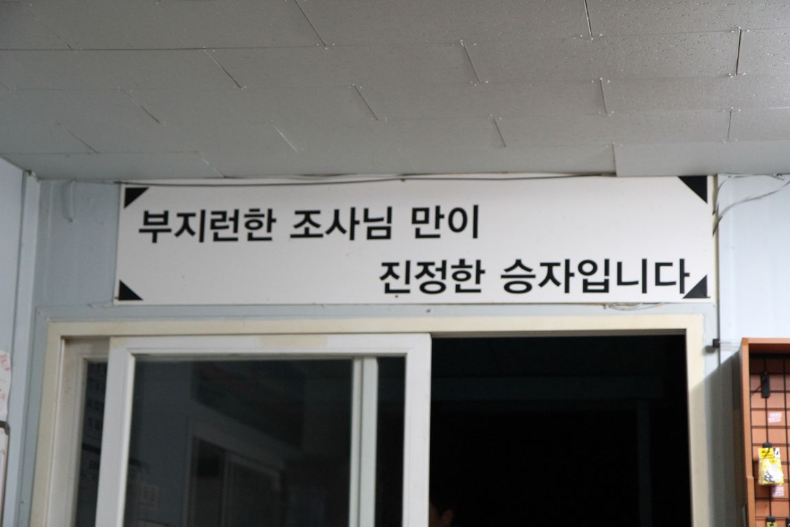 239.JPG