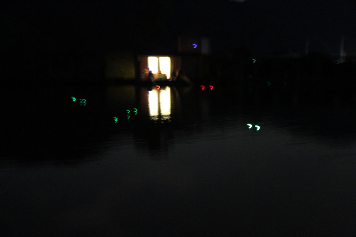 249.JPG