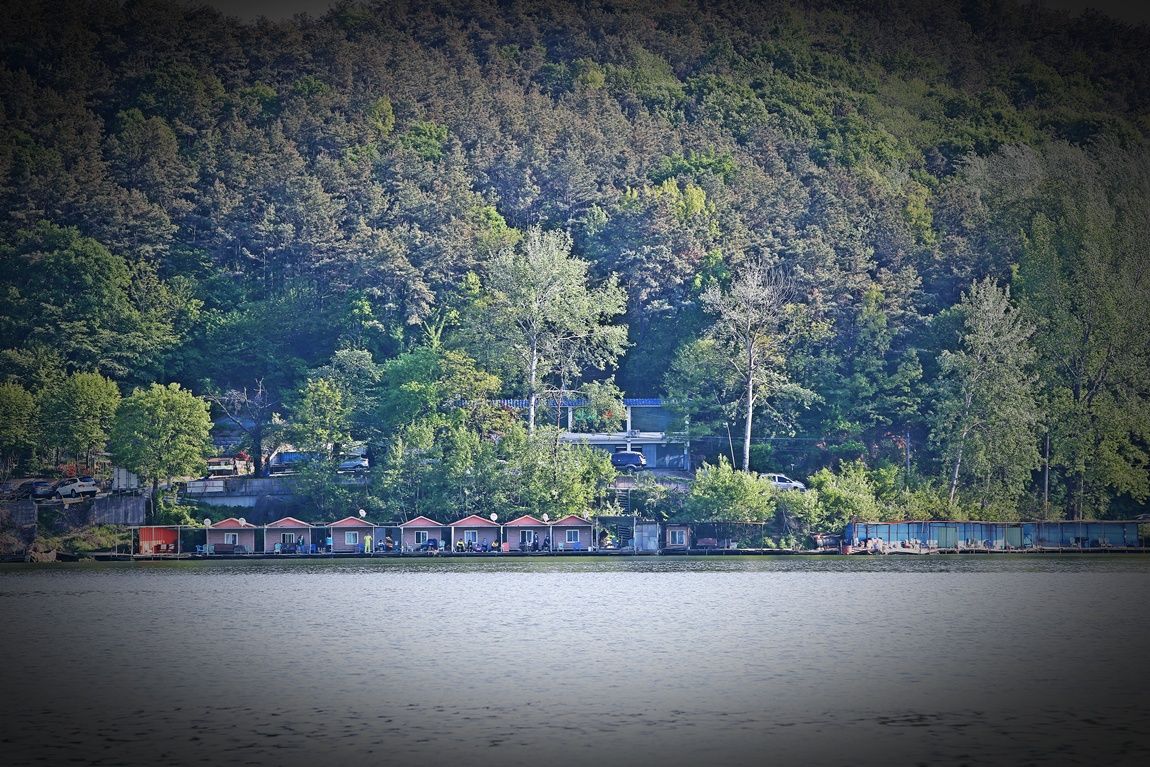3A6A1225.JPG