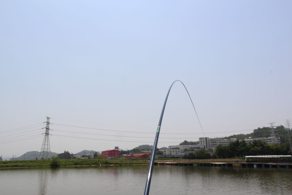 IMG_2616.JPG