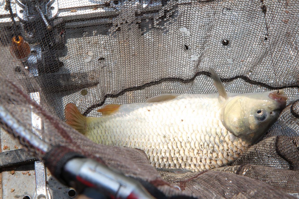 IMG_2618.JPG
