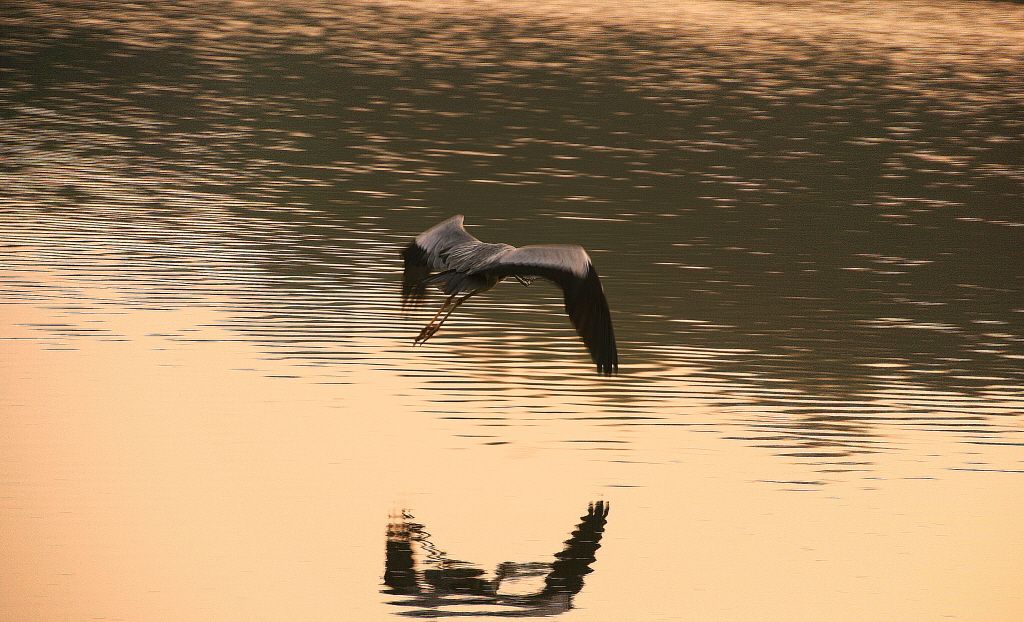 �ٹ̱�_IMG_7536.JPG