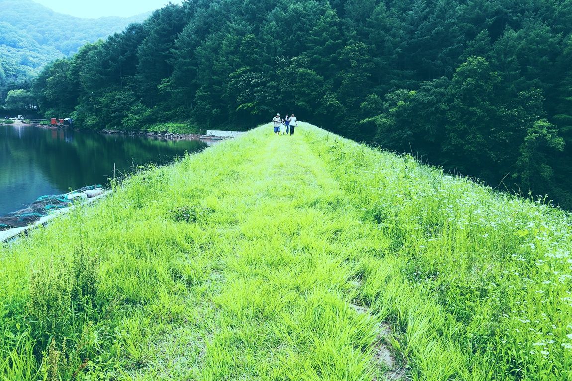 3A6A3118.JPG