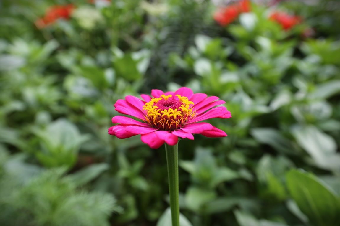 3A6A3154.JPG