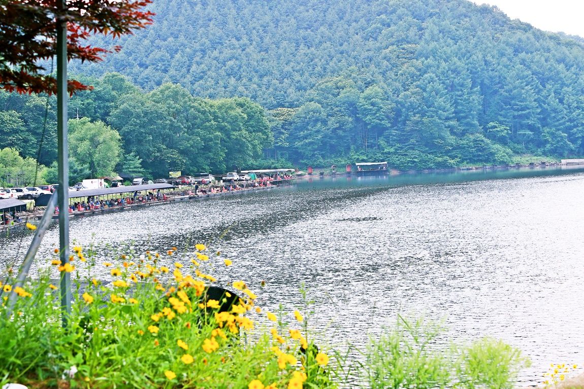 3A6A3305.JPG