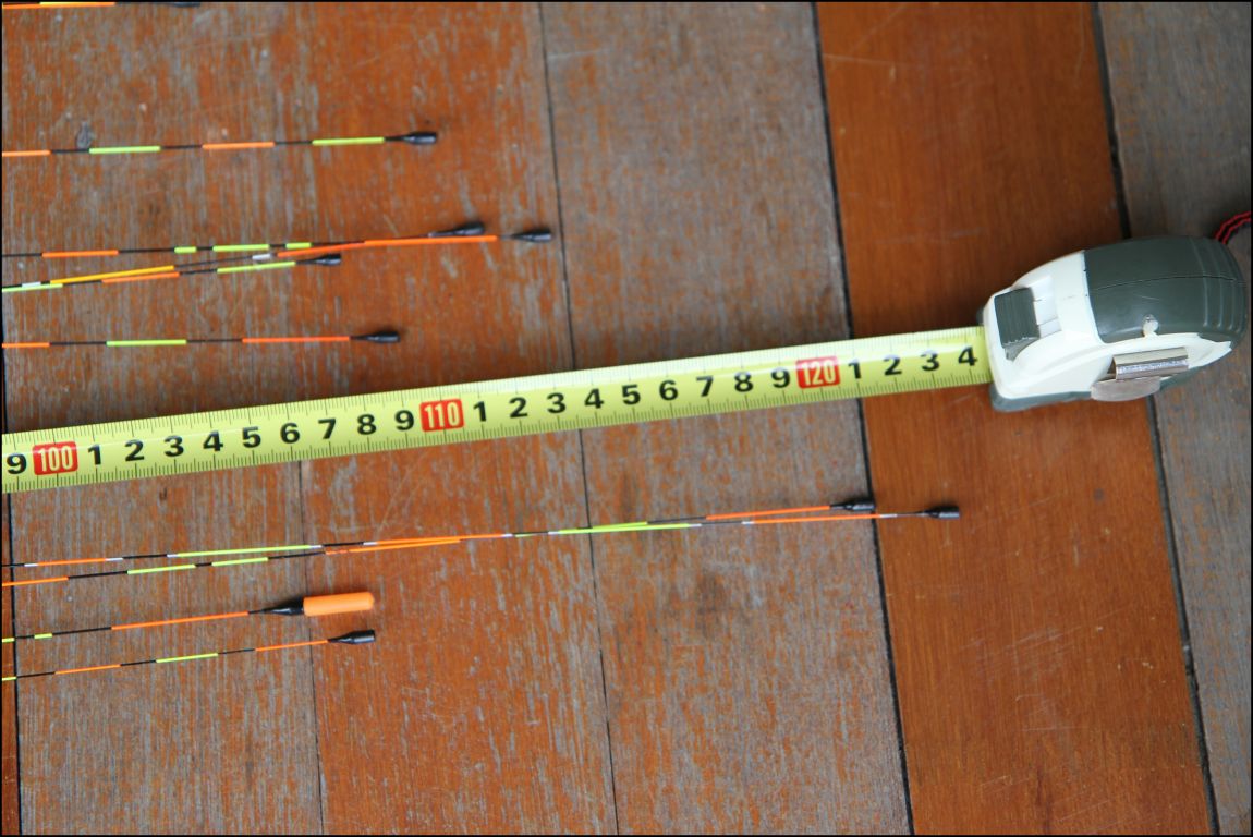 IMGL4604.JPG