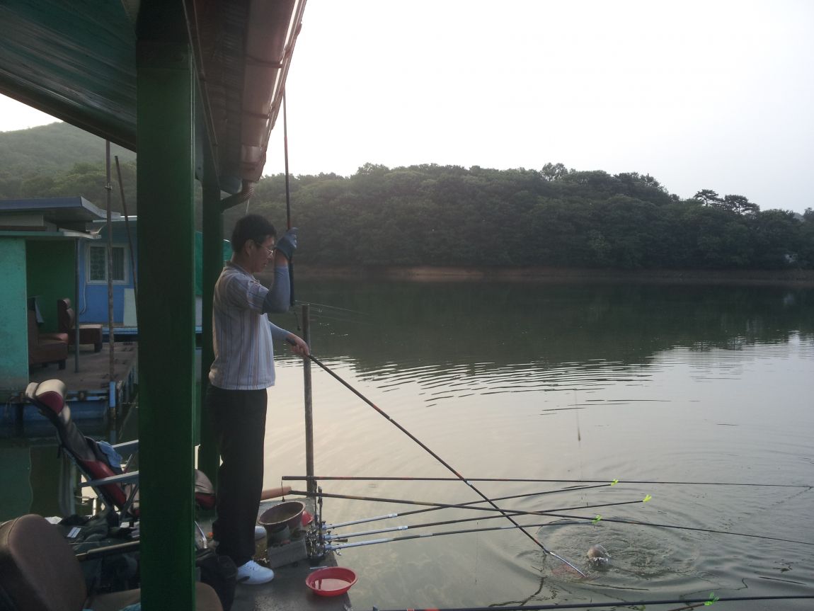 20140622_054758.jpg