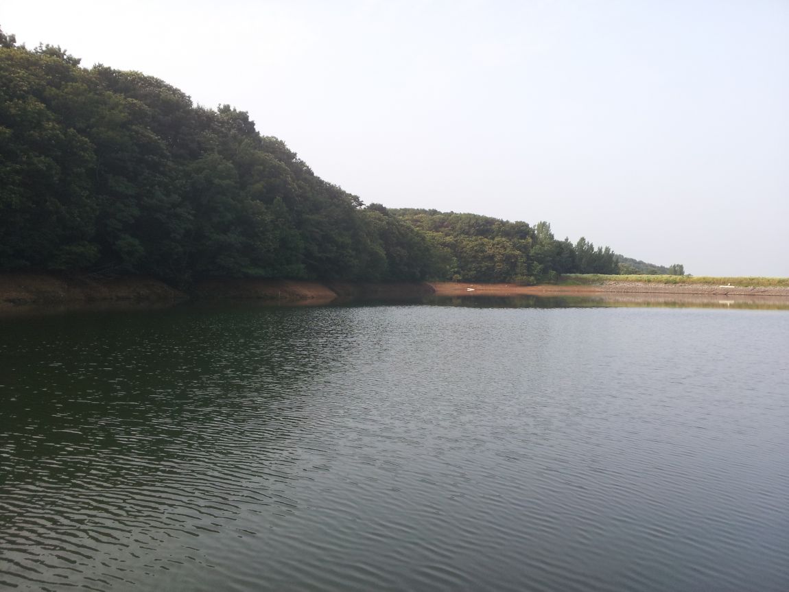 20140622_064141.jpg