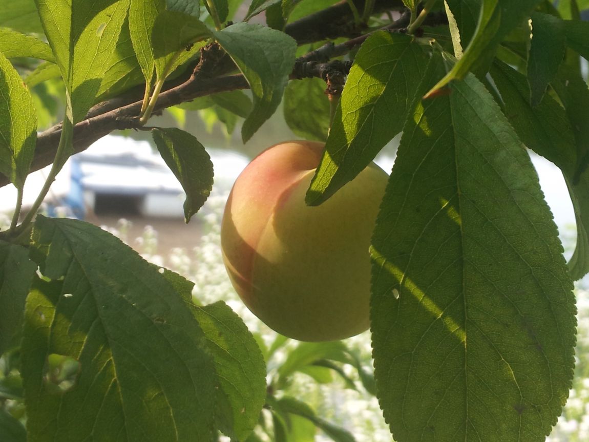 20140622_064714.jpg