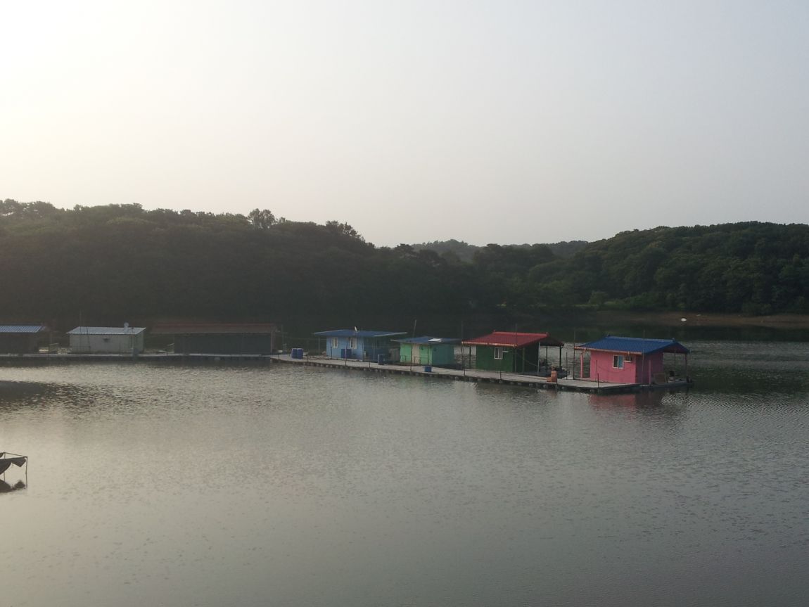 20140622_065219.jpg