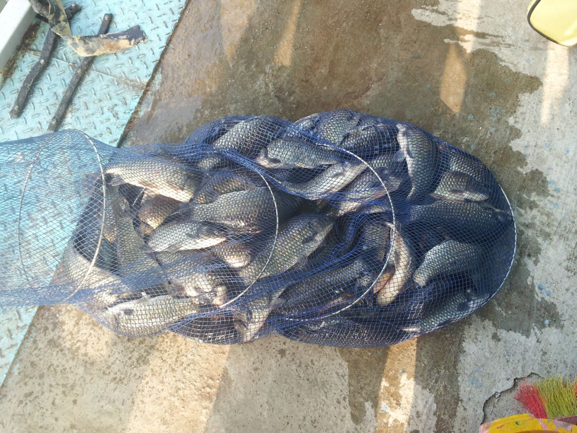 20140622_072725.jpg