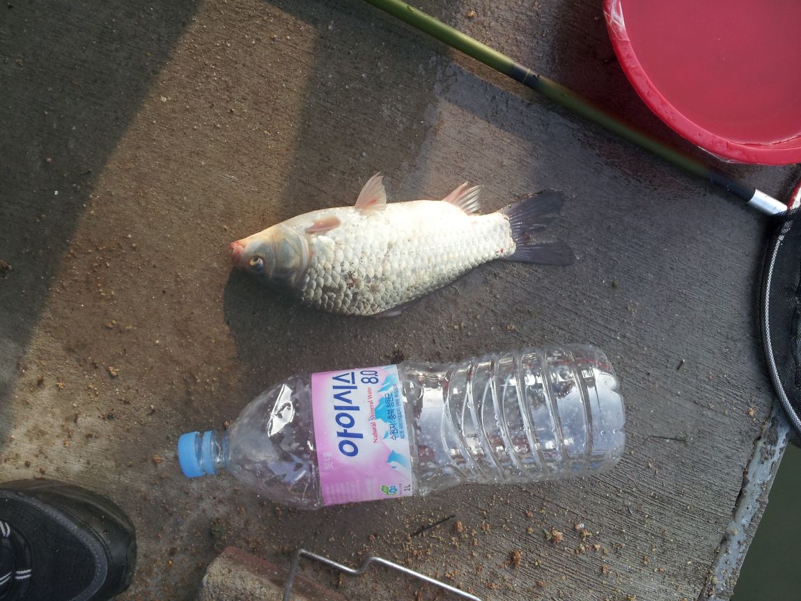 20140622_073112.jpg