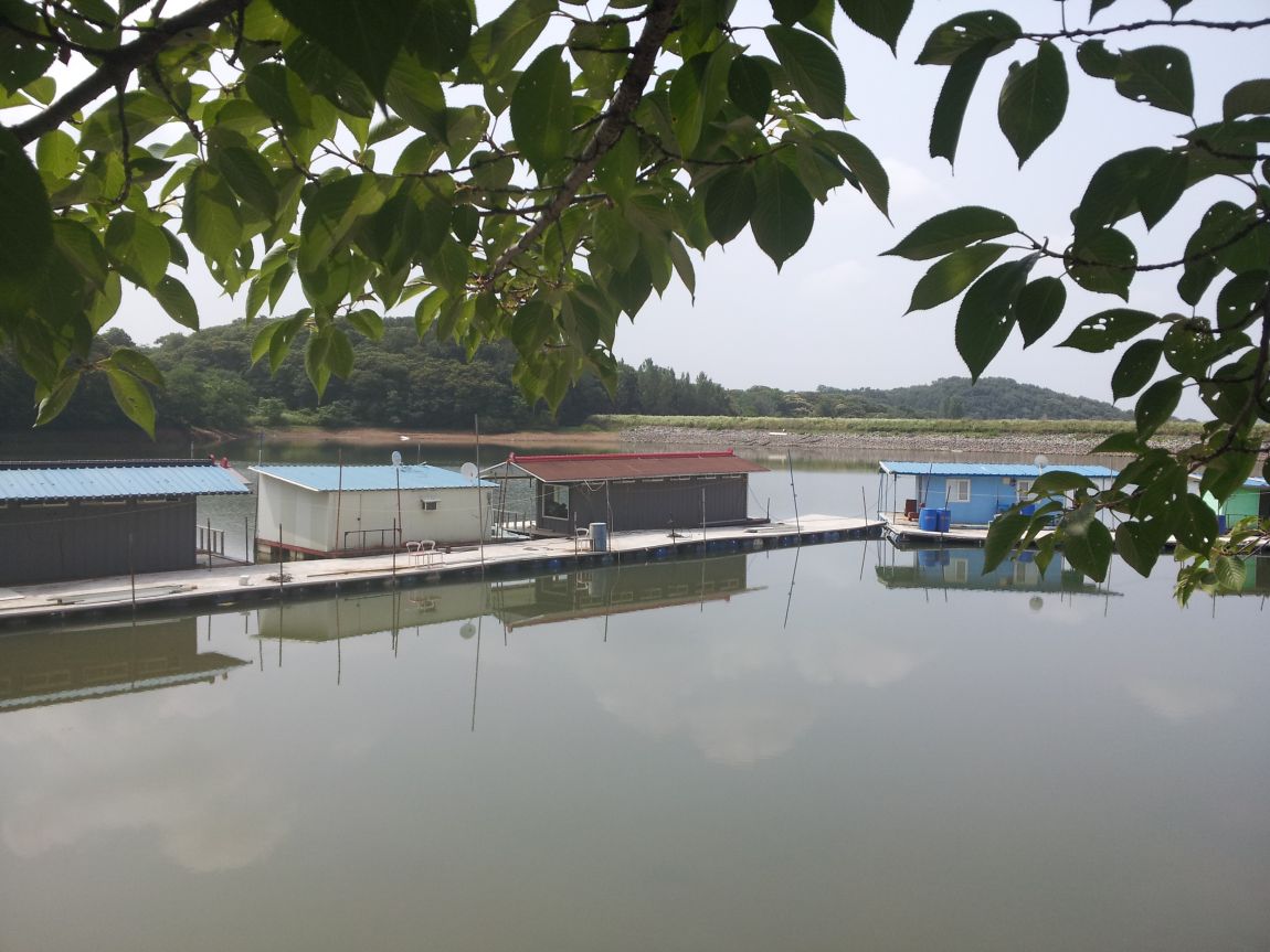 20140622_101856.jpg
