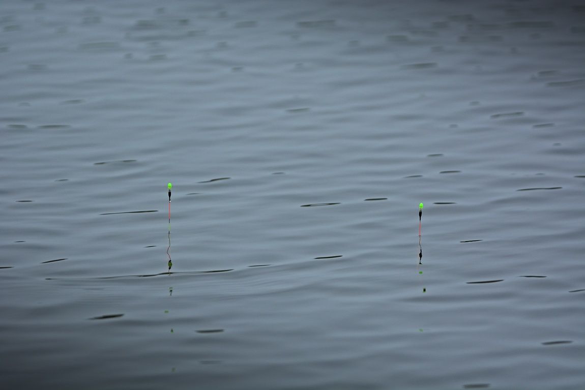 444.JPG