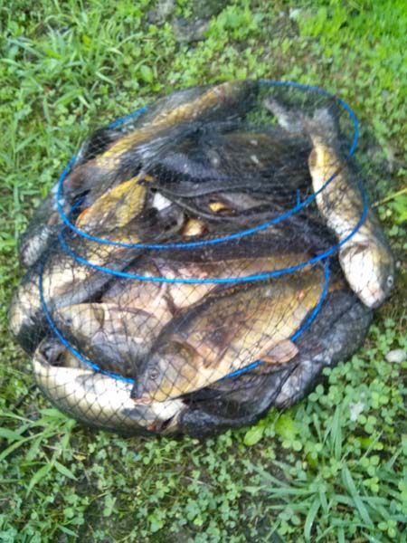 8��5�� �ֺ��� ����� 007.jpg