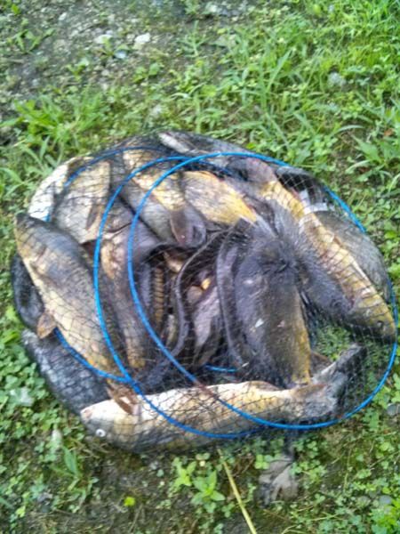 8��5�� �ֺ��� ����� 008.jpg