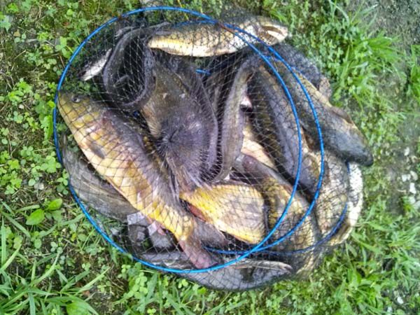 8��5�� �ֺ��� ����� 009.jpg