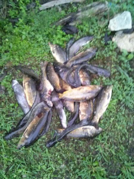 8��5�� �ֺ��� ����� 010.jpg