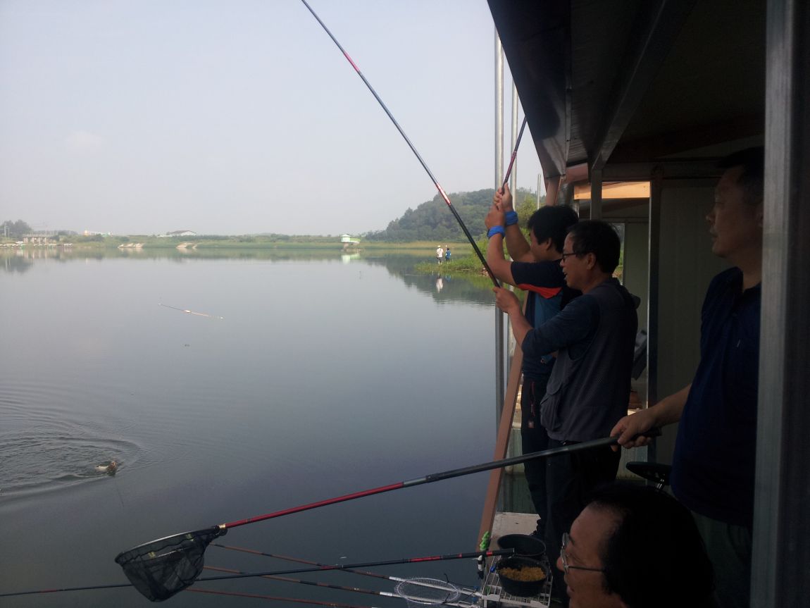 20140816_085954.jpg