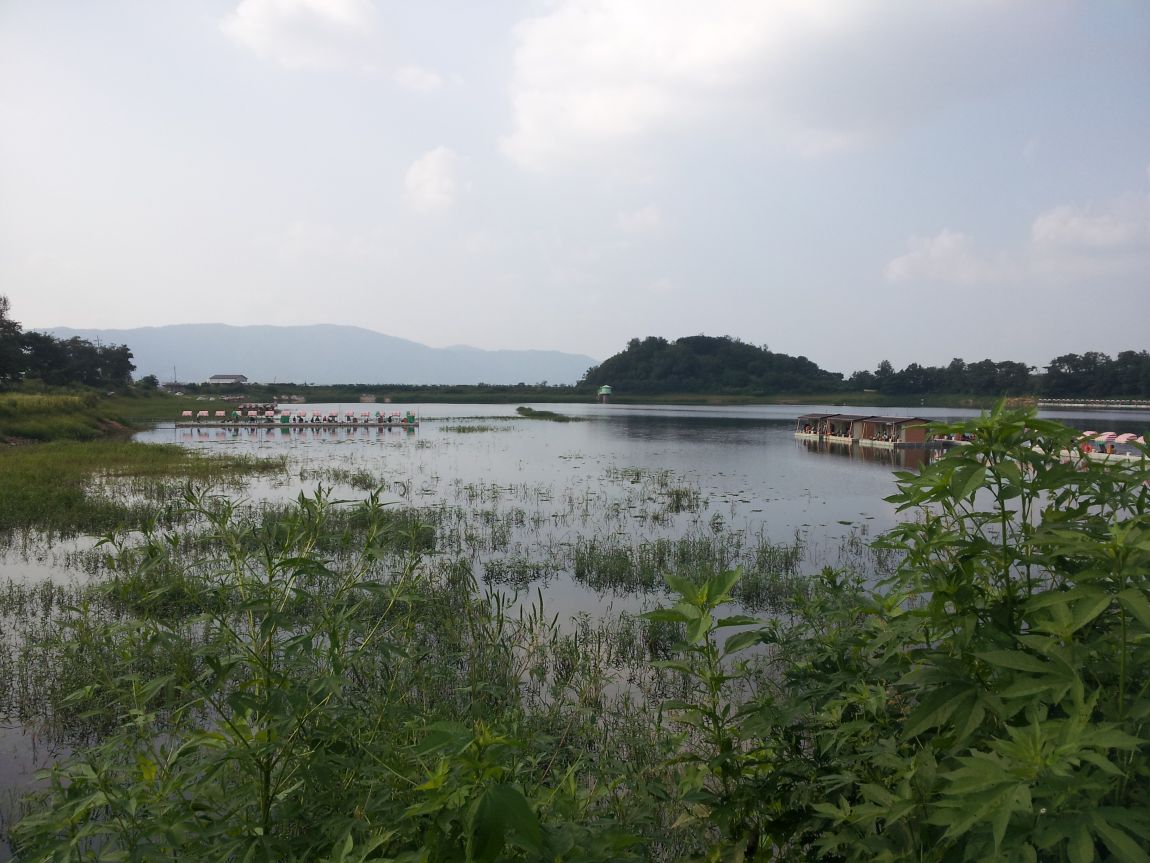 20140816_161835.jpg