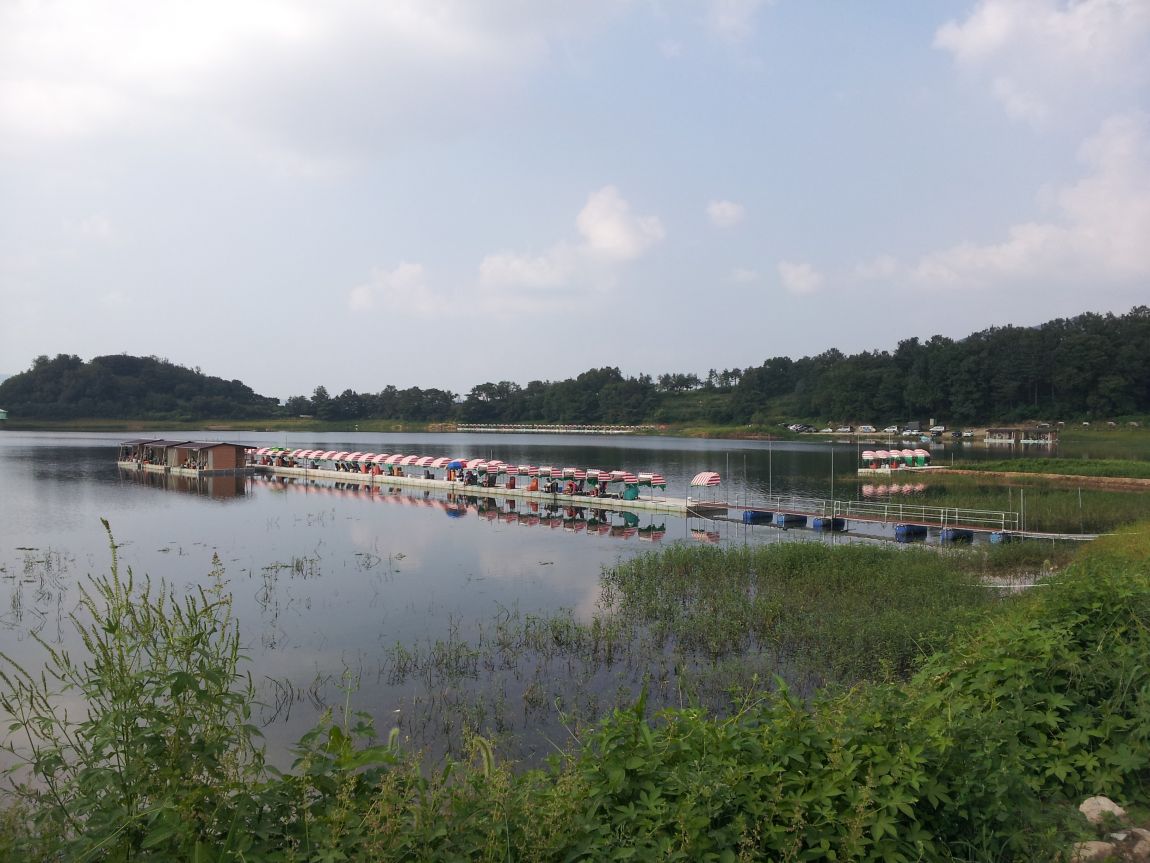 20140816_161904.jpg