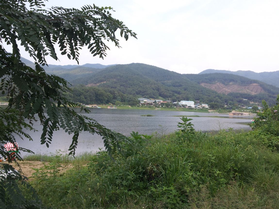 20140816_163151.jpg