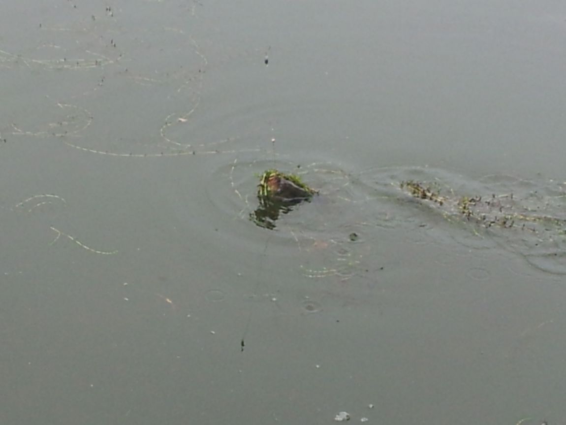 20140817_091056.jpg