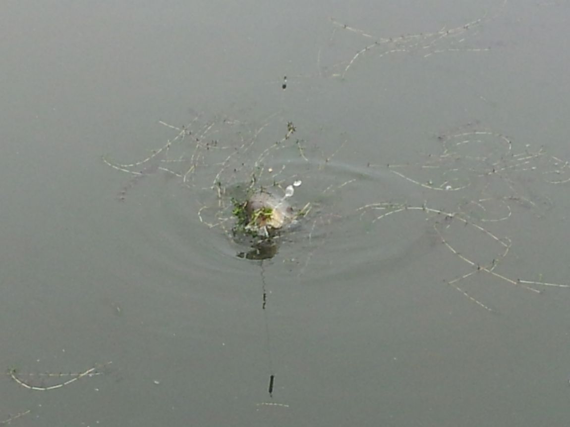 20140817_091112.jpg