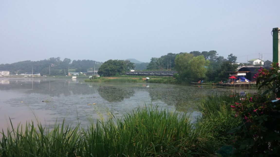 ϰ_ϰ_20140824_093330.jpg