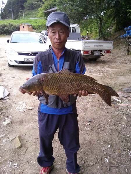 �ֺ��� 004.jpg