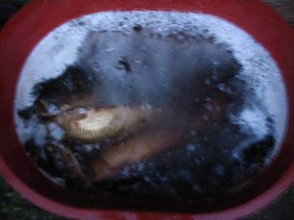 8�� 31�� �ֺ��� �㳬�� ��Ȳ 001.JPG