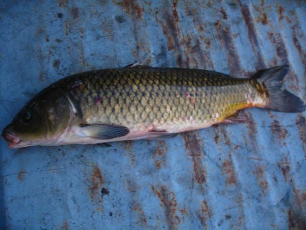 8�� 31�� �ֺ��� �㳬�� ��Ȳ 003.JPG