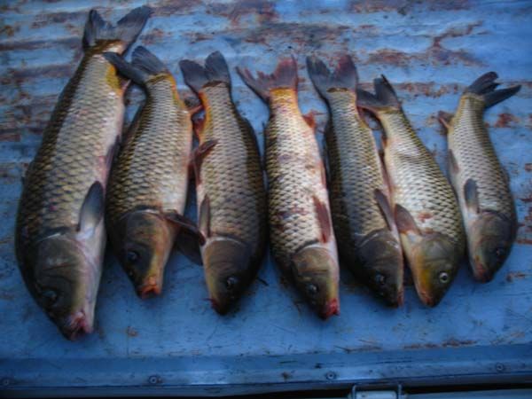 8�� 31�� �ֺ��� �㳬�� ��Ȳ 002.JPG