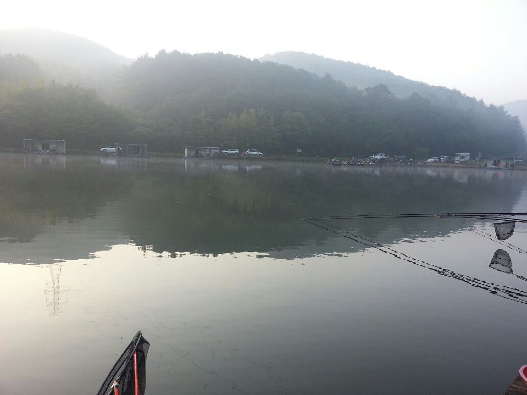 20140907_065227.jpg