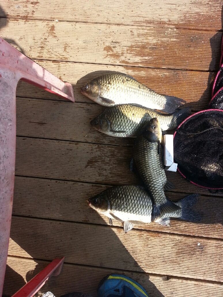 20140907_095636.jpg