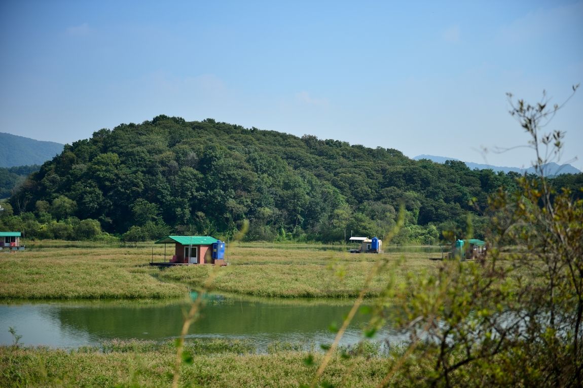 DSC_7543.jpg