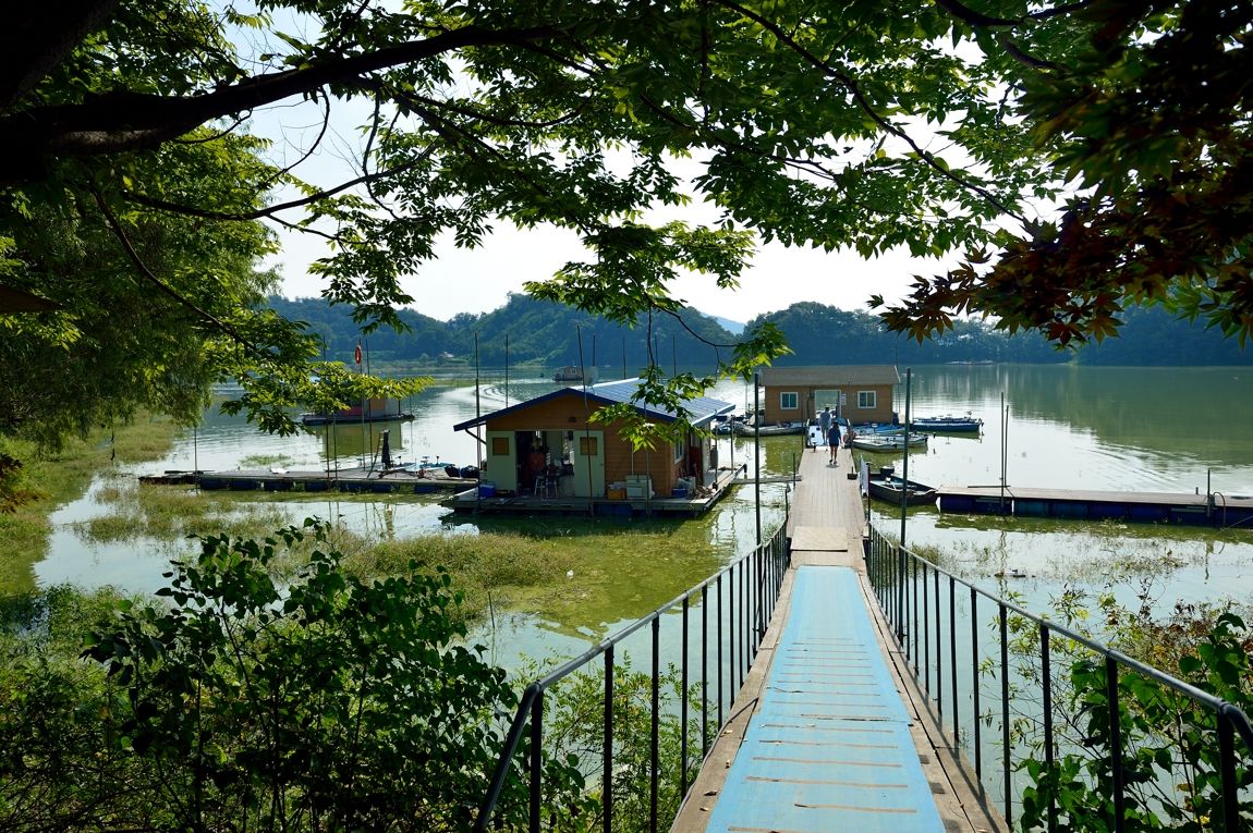 DSC_7558.jpg
