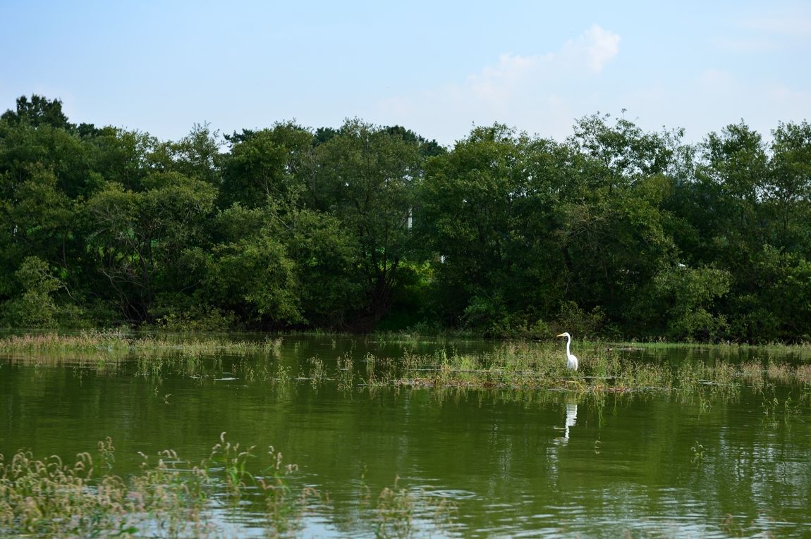 DSC_7574.jpg