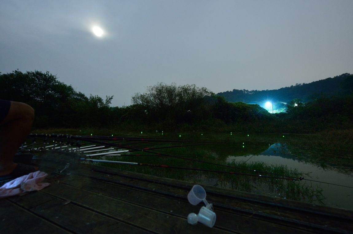 DSC_7614.jpg