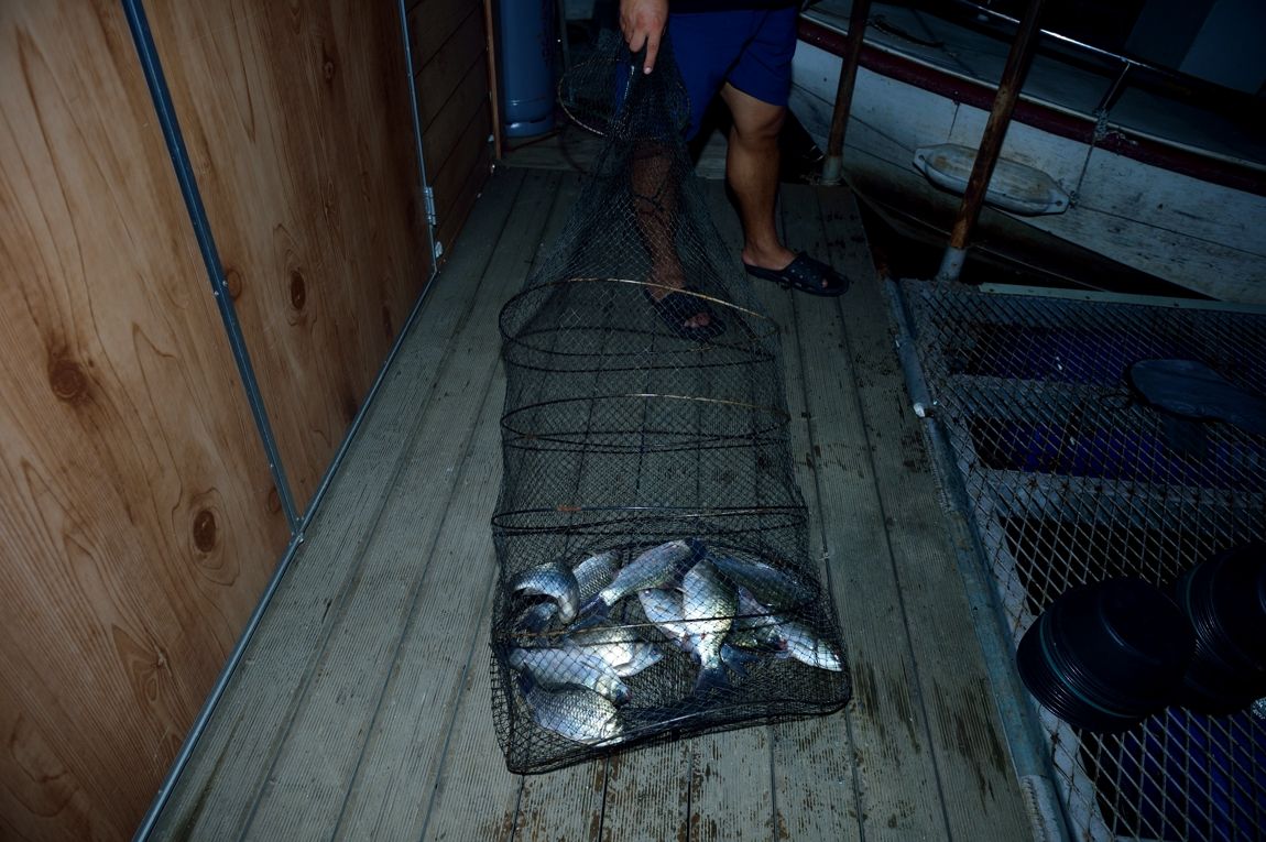 DSC_7615.jpg