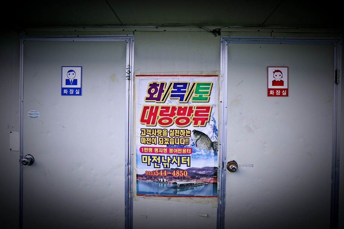 노아주 > 경기도 포천시 마전낚시터 : 낚시사랑