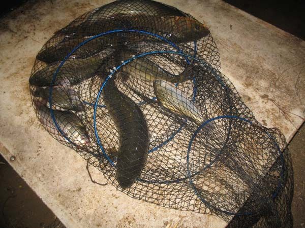 ���� �������� ����, �׾� 010.JPG